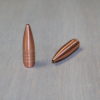 .308 Cal-137gr Hammer Hunter®