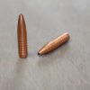 .224 Cal-73gr Absolute Hammer™